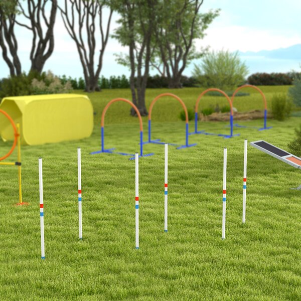 PawHut Set Agility per Cani 6 pezzi con 6 pali slalom, borsa da trasporto e accessori allenamento, 305x60x94 cm, Bianco e blu | Aosom Italy