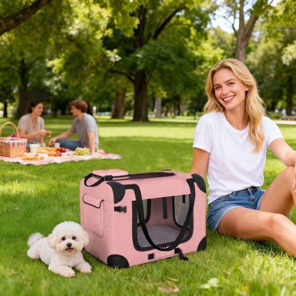 PawHut Trasportino per Cani Pieghevole con Finestre in Rete, Cuscino Morbido e 2 Maniglie, per Mini Cani e Gatti, 60x41,5x41 cm, Rosa | Aosom Italy