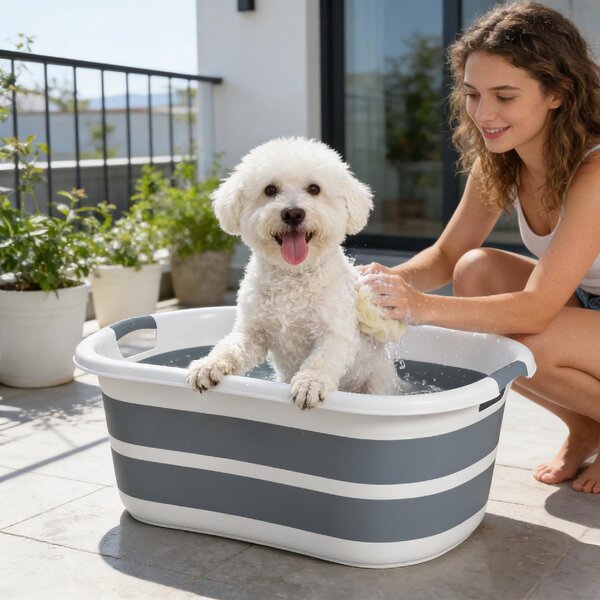 AllMyPets Vasca da Bagno per Cani di Piccola Taglia Pieghevole Portatile con Foro di Scarico 66x44x25 cm colore Grigio