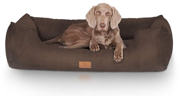 Cuccia per cani Dreamline XXXL - 155 x 105 cm | Marrone
