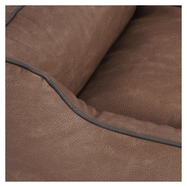 Cuccia per cani in Scottsdale XXL marrone