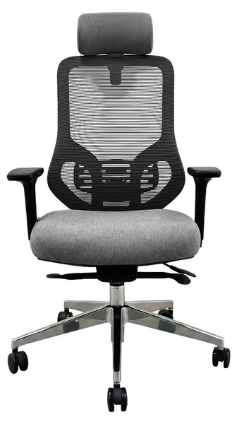 JAN NOWAK Sedia da ufficio ergonomica con rivestimento in rete, poltrona direzionale in tessuto a rete grigio scuro, AXIS