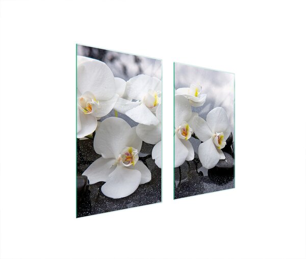 Piastre copri fornelli 2 pezzi 75x52 Copri piano cottura in Vetroceramica tagliere in vetro Orchid White