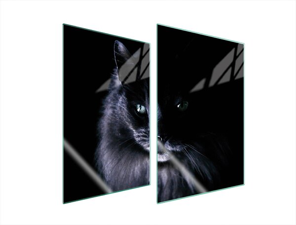 Piastre copriforno 2 pezzi 35x52 Vetroceramica copriforno tagliere vetro gatto nero