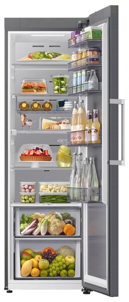 Samsung Frigorifero Monoporta Capacit 387 Classe energetica C Raffreddamento No Frost colore Argento - RR70H39CCTEF