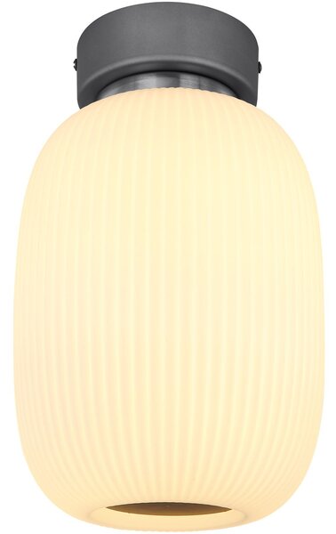 Globo Lighting plafoniera in metallo grafite, nichel opaco, vetro opalino, ø: 200mm, H: 325mm, incl. LED 21W 230V, sorgente 1714lm, resa 1237lm, 3000K