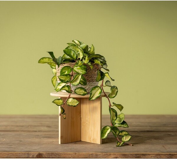 Supporto per fiori in bambù ø 25 cm (altezza totale 19,5 cm) – Esschert Design