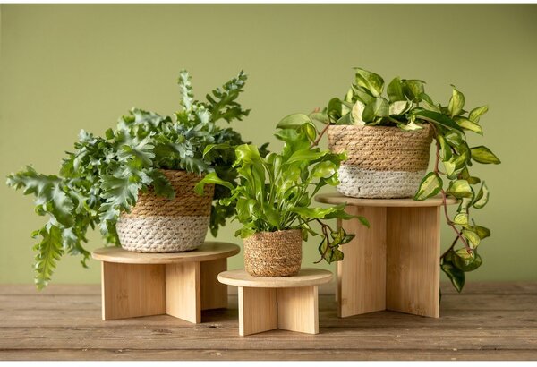 Supporto per fiori in bambù ø 25 cm (altezza totale 19,5 cm) – Esschert Design