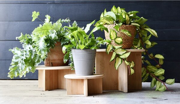 Supporto per fiori in bambù ø 25 cm (altezza totale 19,5 cm) – Esschert Design