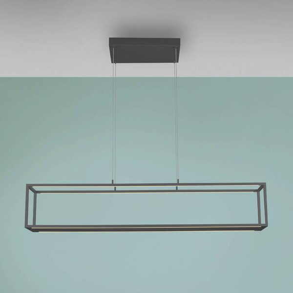 Paul Neuhaus Lampada LED a sospensione Conni, nera, 130 cm, CCT dimmerabile, Nero, Soggiorno / Sala da pranzo, Alluminio, Moderno