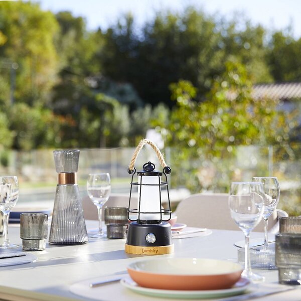 Lumisky Lampada LED da tavolo ricaricabile Wildy, nera/marrone, altezza 23 cm, metallo dimmerabile, Nero, Metallo