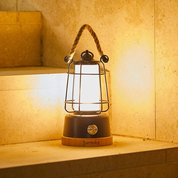 Lumisky Lampada LED da tavolo ricaricabile Wildy, nera/marrone, altezza 23 cm, metallo dimmerabile, Nero, Metallo