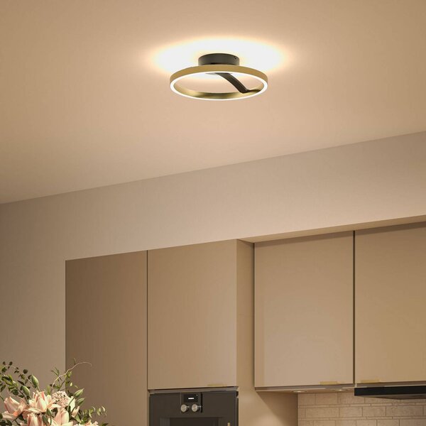 Paulmann Plafoniera soffitto Melira, dimmerabile, Nero, Soggiorno / Sala da pranzo, Metallo, Moderno, Plafoniera