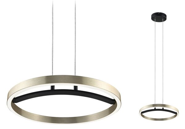 Paulmann Lampada LED a sospensione Melira, nero/oro, Ø 38 cm, metallo dimmerabile, Nero, Soggiorno / Sala da pranzo, Metallo, Moderno