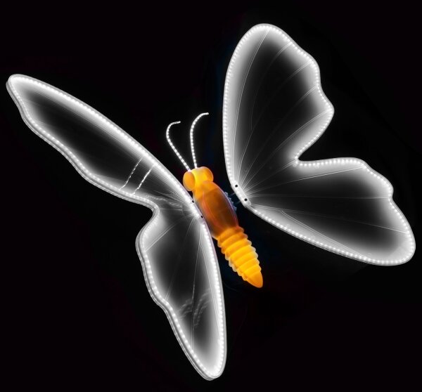 Aigostar - LED decorazione natalizia da esterno 504xLED IP44 bianco freddo farfalla