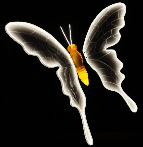 Aigostar - LED decorazione natalizia da esterno 564xLED IP44 bianco freddo farfalla