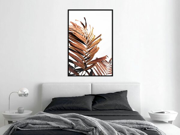 Poster - Copper Palm, 20x30