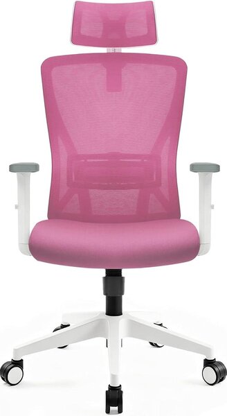 Sedia da ufficio ergonomica Hoolamiye, con capacità di carico di 150 kg, dotata di poggiatesta e supporto lombare, realizzata in tessuto a rete, con funzione di inclinazione a 90° e 130°, colore rosa