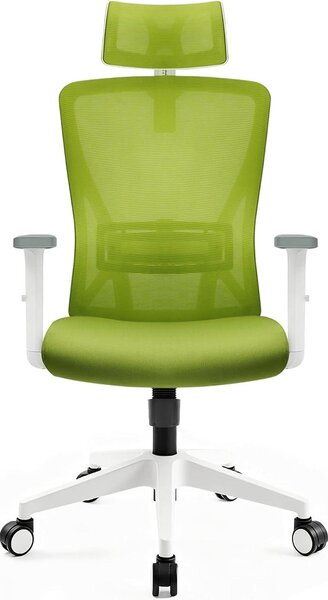 Sedia da ufficio ergonomica Hoolamiye, con capacità di carico di 150 kg, dotata di poggiatesta e supporto lombare, realizzata in mesh, con funzione di inclinazione a 90° e 130°, colore verde