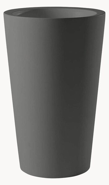 Vaso X Pot