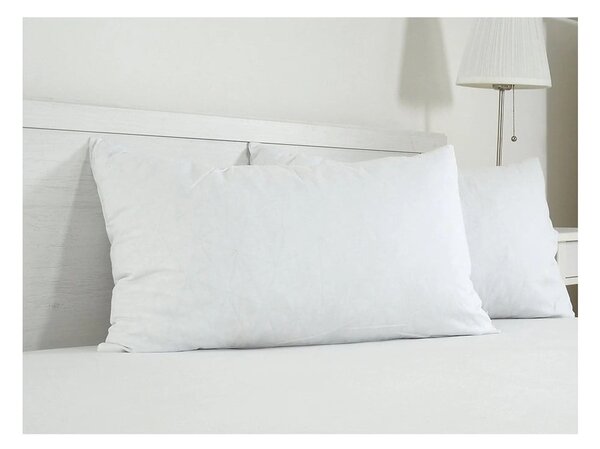 Federa per cuscino in cotone 45x75 cm Visco – B.E.S