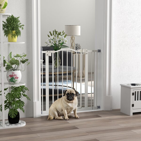 PawHut Cancelletto per Cani Estensibile con 2 Blocchi e Chiusura Automatica, in Metallo e Plastica, 74-87x78 cm, Bianco