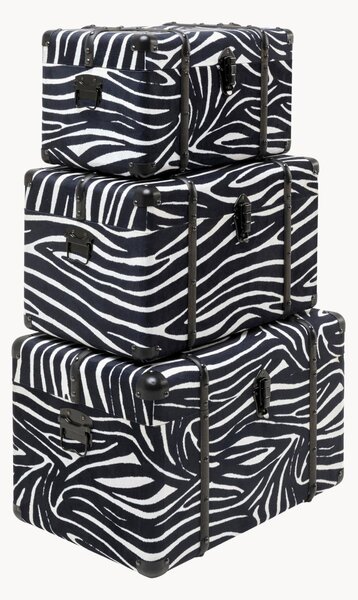 Set di 3 scatole Wild Animal Zebra