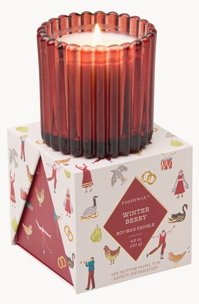 Candela profumata Christmas (Winter Berry)