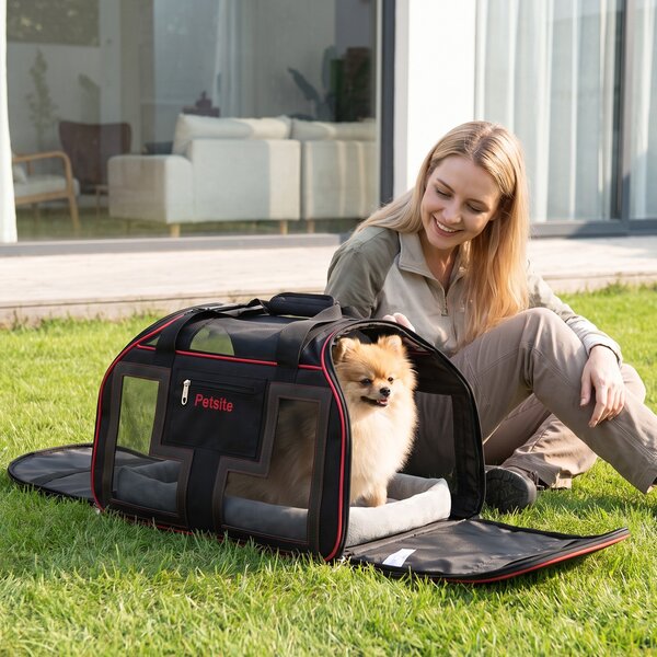 Costway Borsa da trasporto portatile per cani e gatti piccola taglia con cuscino cintura di sicurezza, Trasportino auto traspirante con ruote manico traccolla Rosso