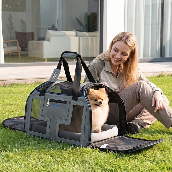 Costway Borsa da trasporto portatile per cani e gatti piccola taglia con cuscino cintura di sicurezza, Trasportino auto traspirante con ruote manico traccolla Blu