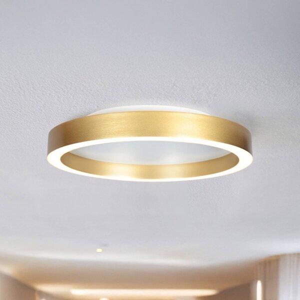 Steinhauer Plafoniera a LED Ringlux, dimmerabile, Ottone / Oro, Soggiorno / Sala da pranzo, Metallo, Moderno, Plafoniera LED