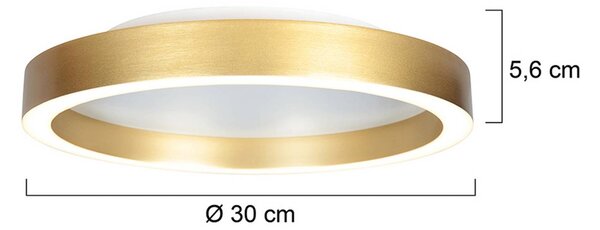 Steinhauer Plafoniera a LED Ringlux, dimmerabile, Ottone / Oro, Soggiorno / Sala da pranzo, Metallo, Moderno, Plafoniera LED