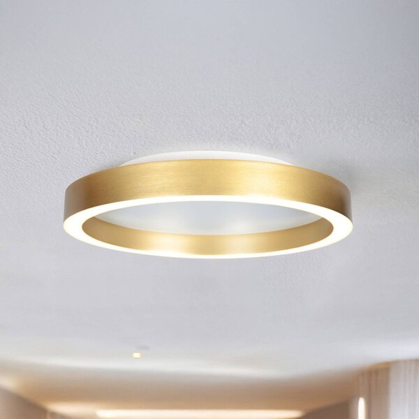 Steinhauer Plafoniera a LED Ringlux, dimmerabile, Ottone / Oro, Soggiorno / Sala da pranzo, Metallo, Moderno, Plafoniera LED