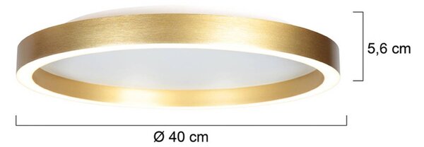 Steinhauer Plafoniera a LED Ringlux, dimmerabile, Ottone / Oro, Soggiorno / Sala da pranzo, Metallo, Moderno, Plafoniera LED
