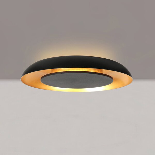 Steinhauer Plafoniera a LED Golden Veil, dimmerabile, Nero, Soggiorno / Sala da pranzo, Metallo, Moderno, Plafoniera LED