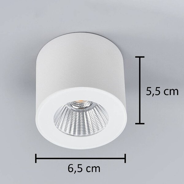 Helestra Oso spot LED rotondo, bianco satinato OSO, dimmerabile, Bianco / Opale, Bagno, Alluminio, Moderno