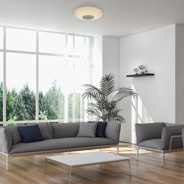 Rabalux 3509 - Plafoniera da soffitto LED RGB dimmerabile RODION LED/24W/230V + telecomando