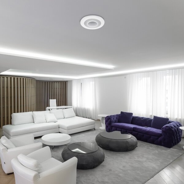 Rabalux - Plafoniera LED RGB dimmerabile LED/40W/230V + +TC 3000-6000K