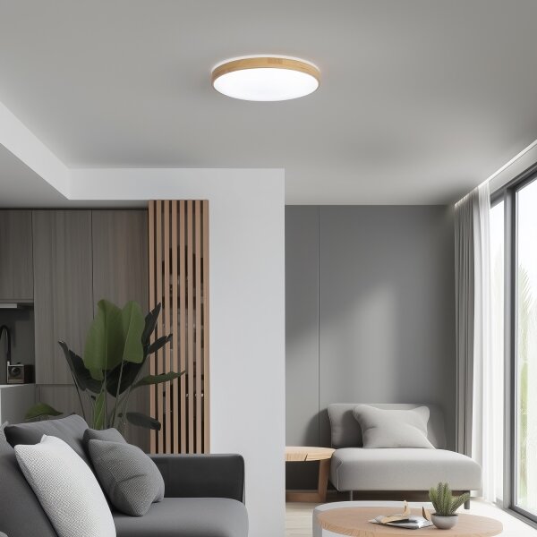 Brilagi - Plafoniera dimmerabile a LED PINE LED/24W/230V + telecomando