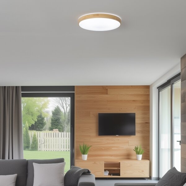 Brilagi - Plafoniera dimmerabile a LED PINE LED/24W/230V + telecomando