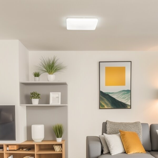 Brilagi - Plafoniera LED dimmerabile OPAL LED/24W/230V 3000/4000/6500K+telecomando