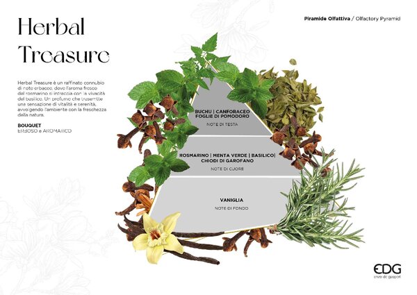 EDG Diffusore di Aromi con Bastoncino 500 ml Herbal Treasure - 550193HET