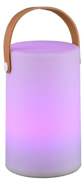 Apparecchio solare a LED per esterni con telecomando (altezza 21 cm) Aruba - Trio