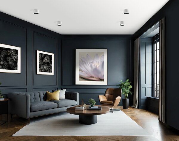 SFORZIN ILLUMINAZIONE Plafoniera a Soffitto Design Moderno da Interno in Gesso colore Bianco/Nero - T422