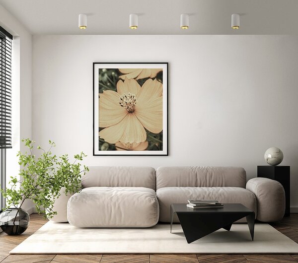 SFORZIN ILLUMINAZIONE Plafoniera a Soffitto Design Moderno da Interno in Gesso GU10 colore Nero Opaco - T407