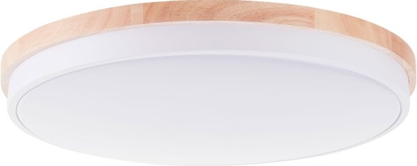 Brilliant - Plafoniera LED dimmerabile BAARLO LED/36W/230V diametro 50 cm bianco + +TC