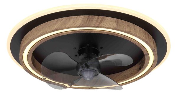 GLOBO LIGHTING Ventilatore da Soffitto con Luce Lampadario Ventilatore Diametro 50 cm Bozan