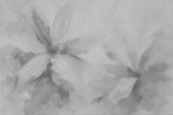 Carta da parati Immagine in grigio e bianco raffigurante dei fiori, Carta da parati Floreale, Carta da parati popolare, t00962v5 - Tapeko.it