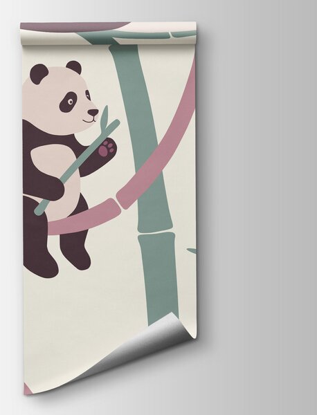 Carta da parati Gruppo di panda su rami di bambù, Carta da parati animali, Carta da parati popolare, t00963v1 - Tapeko.it