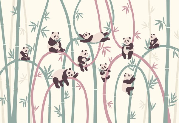 Carta da parati Gruppo di panda su rami di bambù, Carta da parati animali, Carta da parati popolare, t00963v1 - Tapeko.it